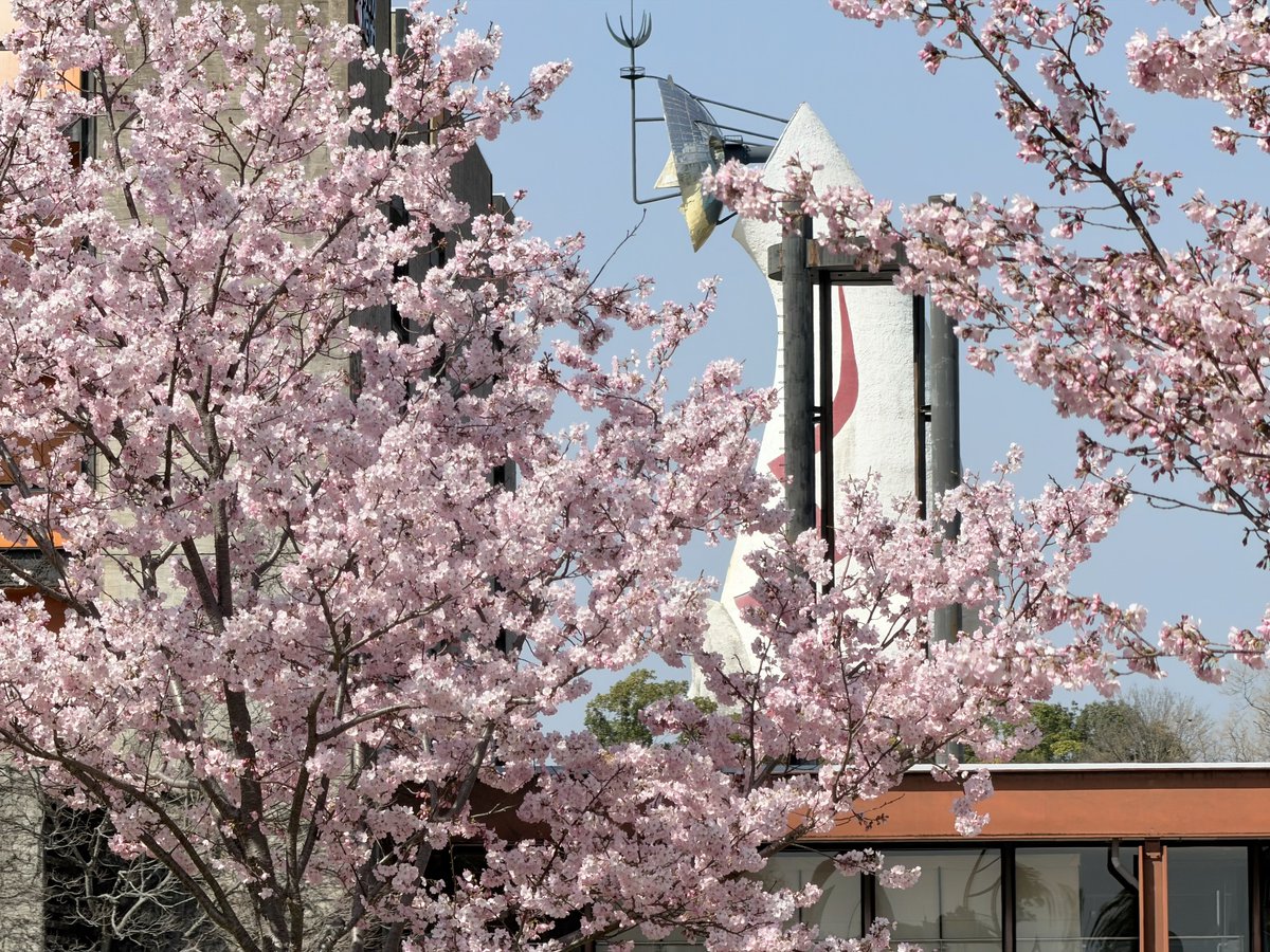 Enjoy EXPO tweet media