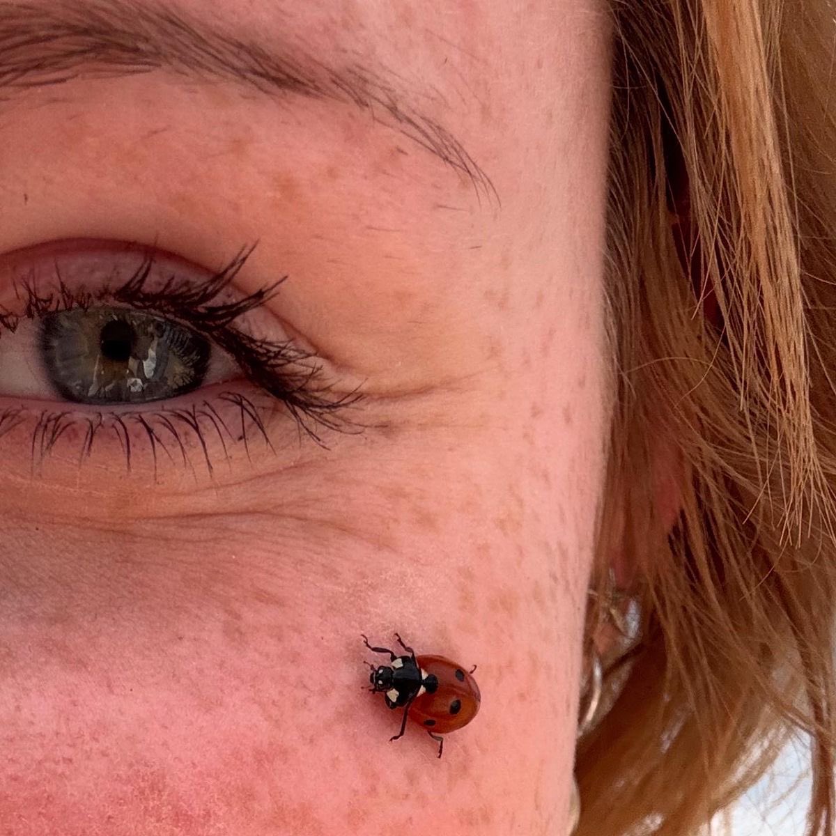 jenna bug ♡ 132 days till ari ! tweet media