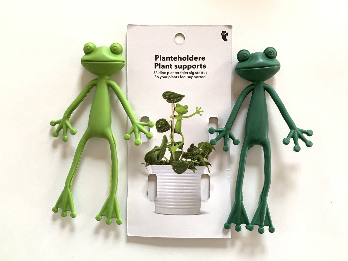 ワンダさんとフライングタイガーで買ったカエルさんたち
植木サポーターという商品らしい
かわいいケロ🐸