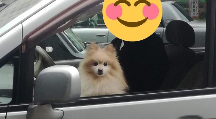 みなみぶちょー tweet media