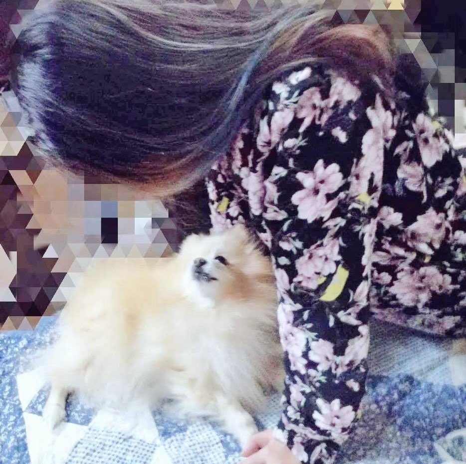 みなみぶちょー tweet media