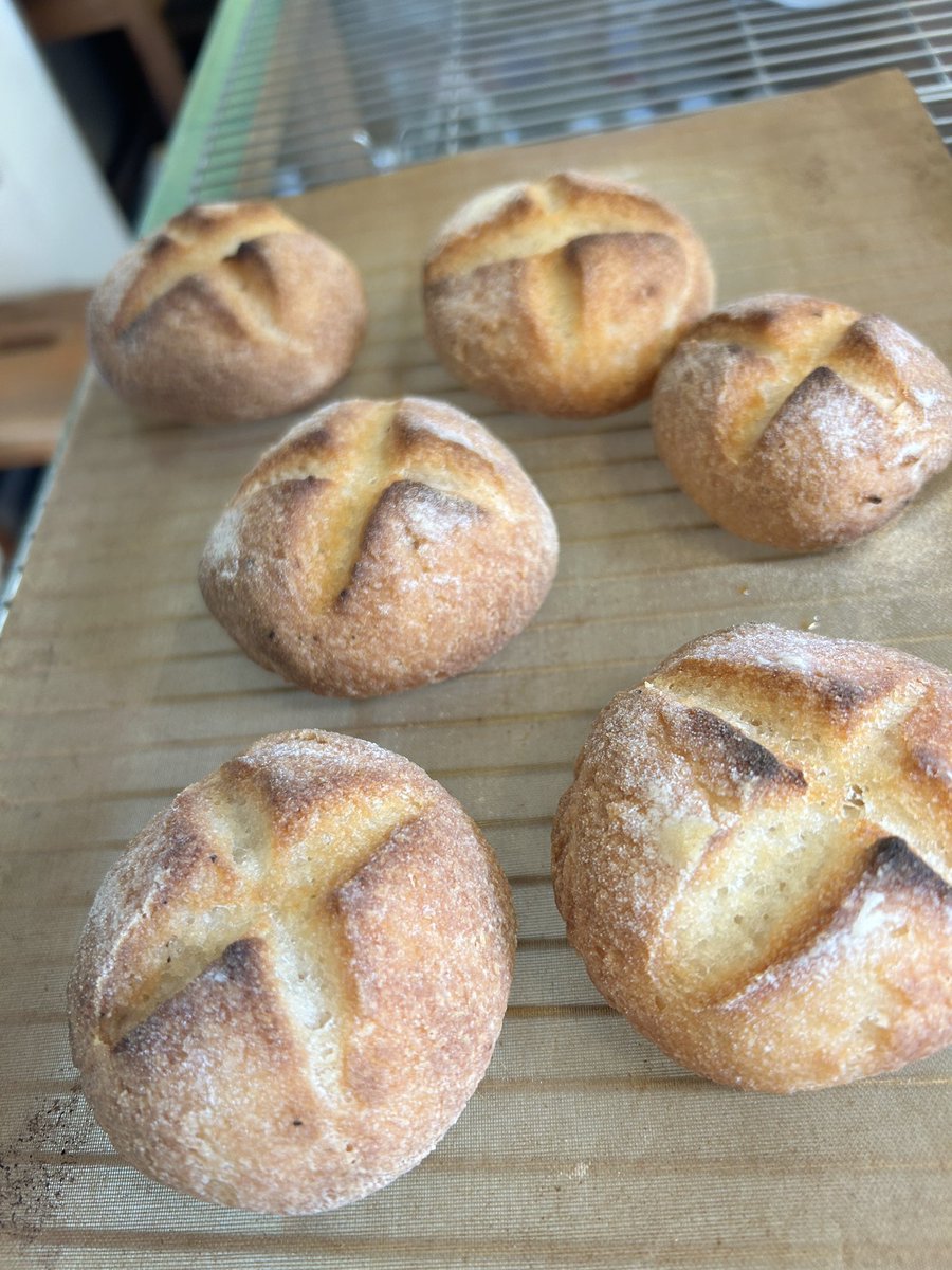 マスジマトモコ tweet media