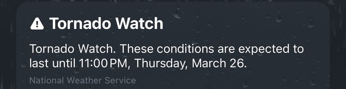 Woofer (Ace) tweet media