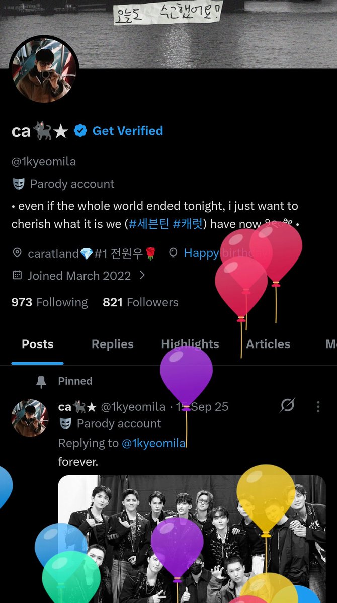 ca🐈‍⬛★ tweet media