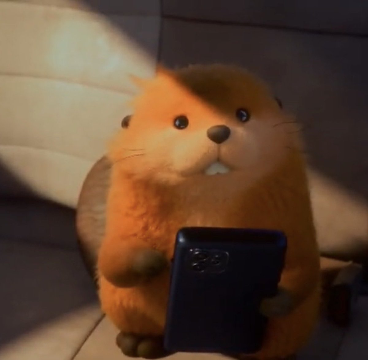 𝚜𝚖𝚞𝚛𝚏𝚎𝚝𝚝𝚎🍉🇦🇪🌼 tweet media