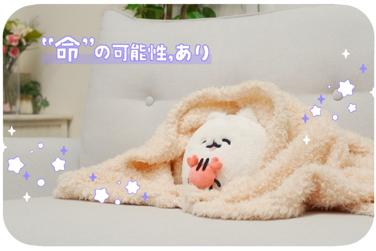 CAMPFIRE Creation(キャンプファイヤー クリエーション)公式 tweet media