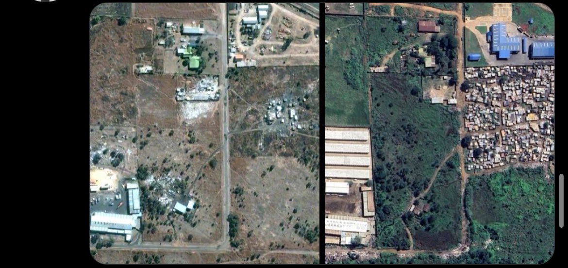 zoomerdecree tweet media