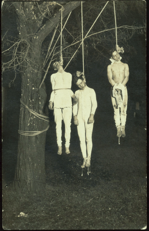 Unbiased Crime Report tweet media