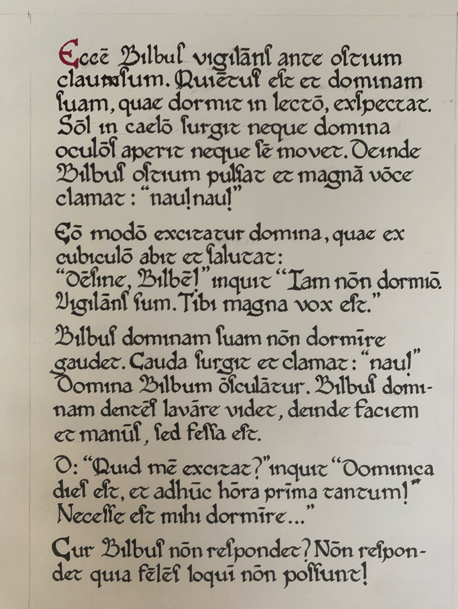 Learn Latin tweet media