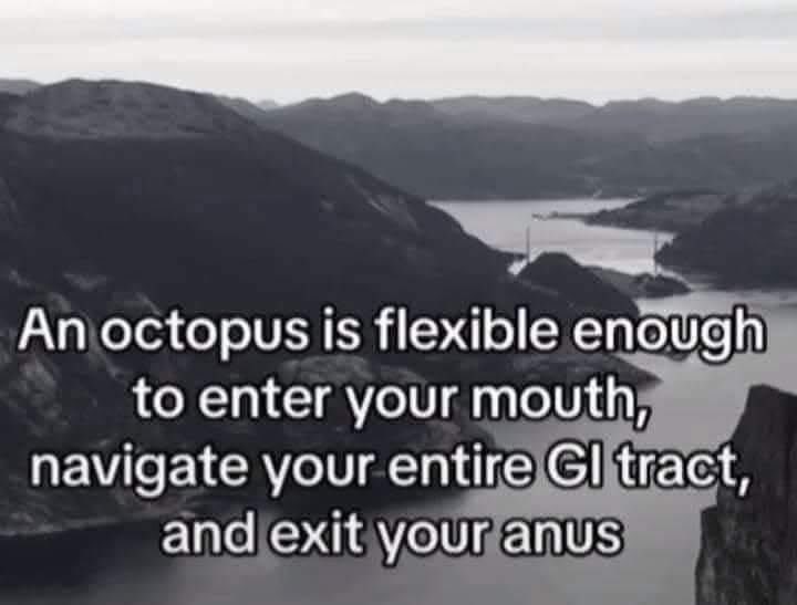 Heathen King tweet media