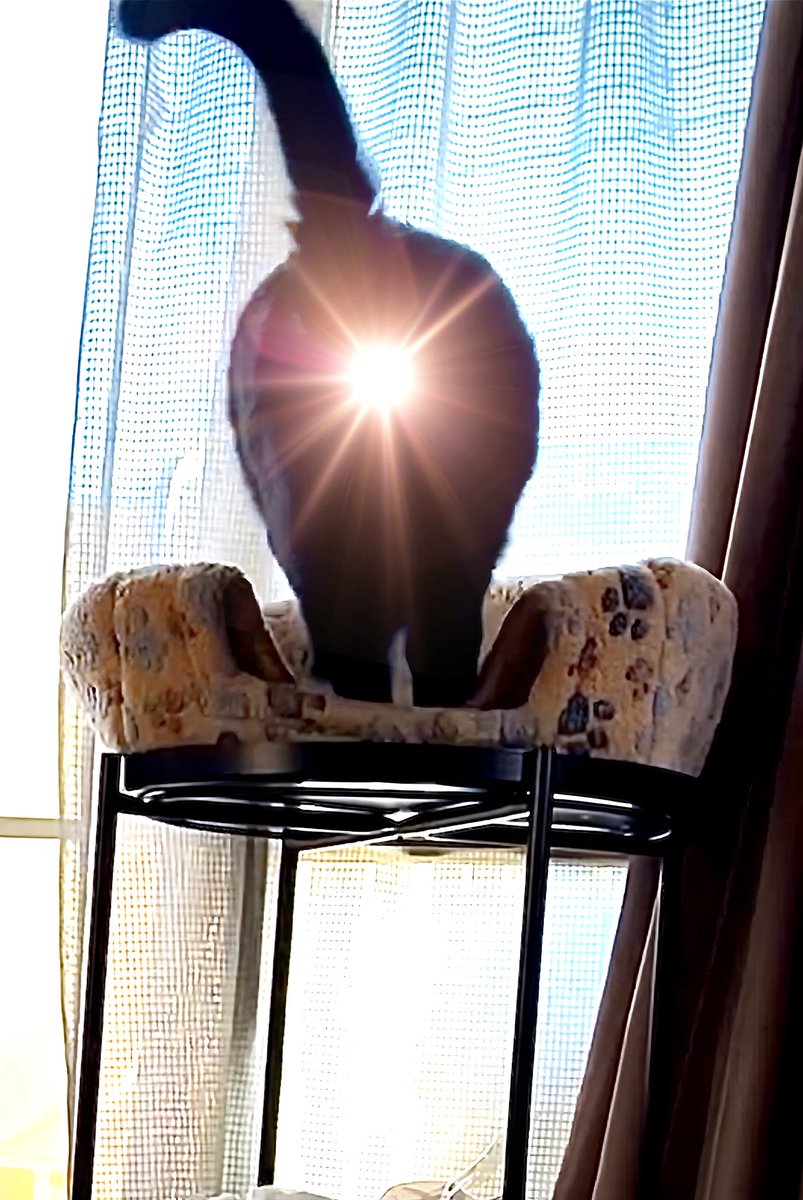 りっこ tweet media