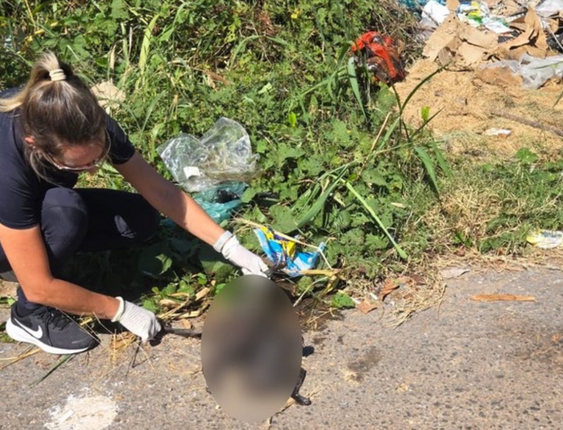 A estudante da Universidade Federal de Mato Grosso (UFMT), Larissa Karolina Silva Moreira, de 28 anos, e o companheiro William Angonese foram indiciados pela Polícia Civil, por maus-tratos qualificados a animais domésticos, devido a morte de de vários gatos, no bairro Porto, em