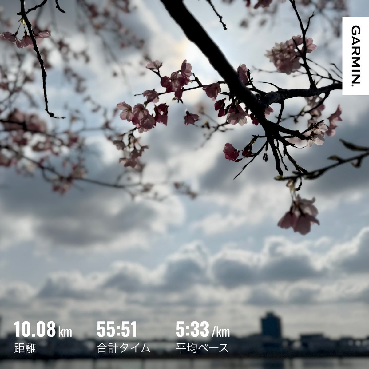 ユキ♪3/1東京マラソン tweet media