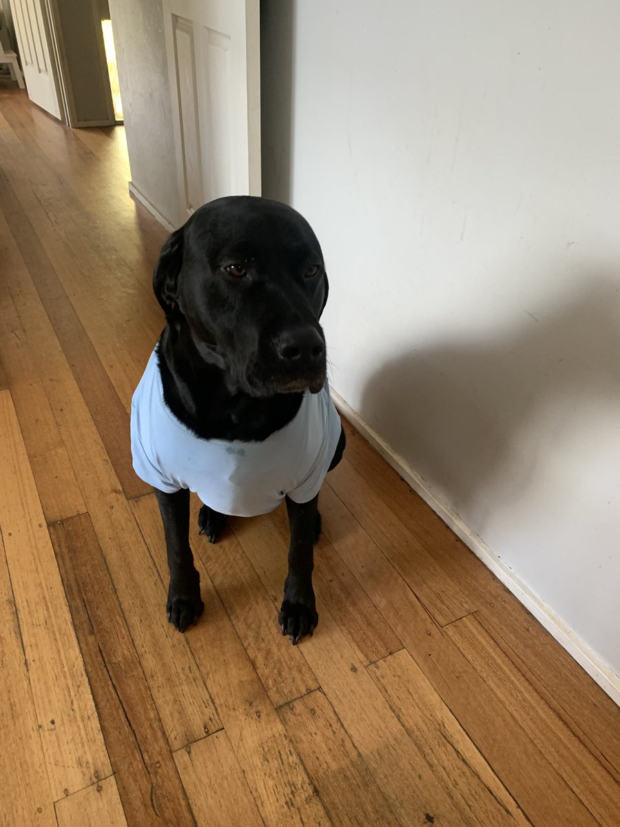 My workplace banned me from taking my baby to work. Can I be compensated