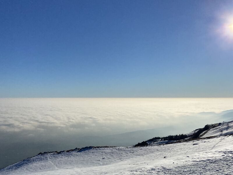 Brian Simpson-Author tweet media