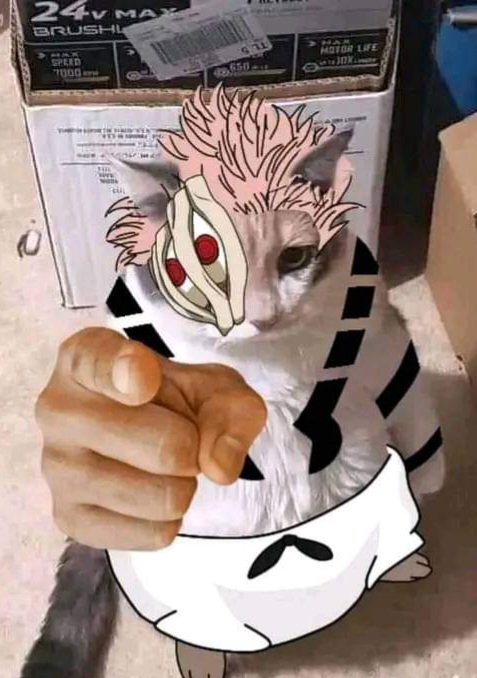 ⛩️𝐑𝐲𝐨𝐦𝐞𝐧 𝐒𝐮𝐤𝐮𝐧𝐚⛩️ tweet media