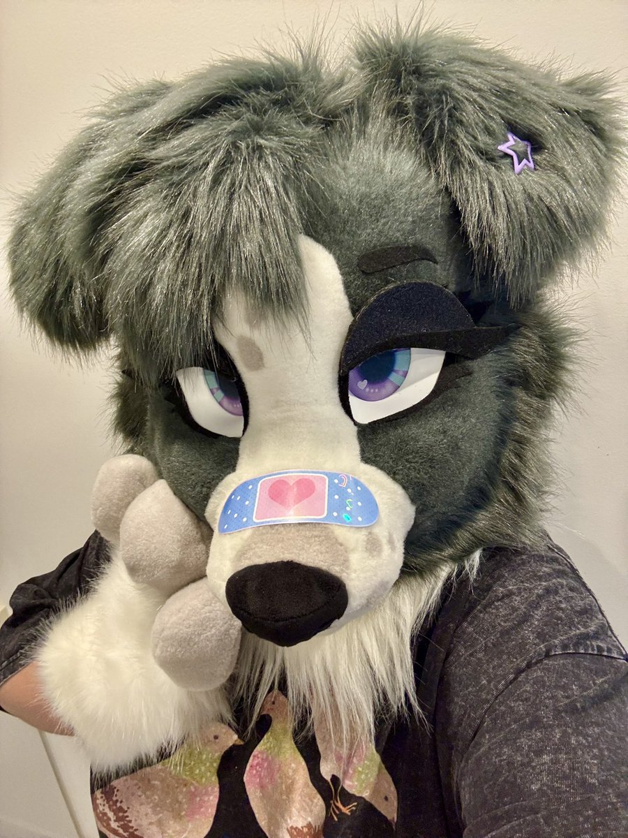 ✦ Zee ✦ coms open~! tweet media