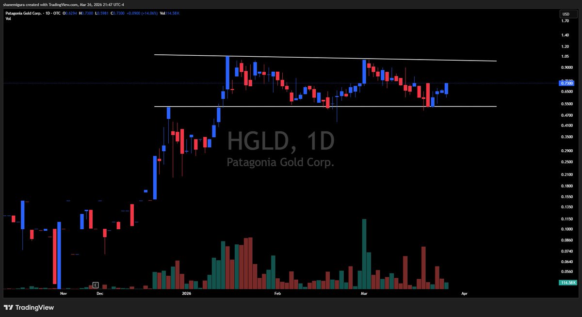 Shane Migura tweet media