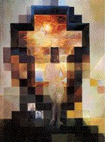 FlA Patty🇺🇸🌴🌞🪻🌺🌿 tweet media