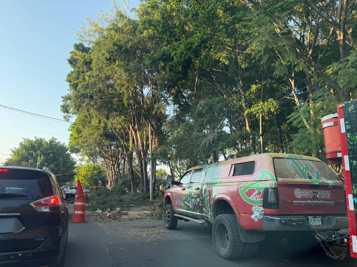 nwelivejal's tweet photo. Vecinos de Providencia molestos  por trabajos mal hechos de poda de árboles en parque Silvano Barba. Refiriendo un ecocidio y una desorganización que afecta la zona. Y la autoridad brilla por su ausencia ningún personal supervisando @GuadalajaraGob @VeroDelgadilloG @marasiro https://t.co/iYnM3aHdZV