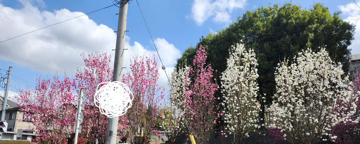 𖧡藤子 tweet media