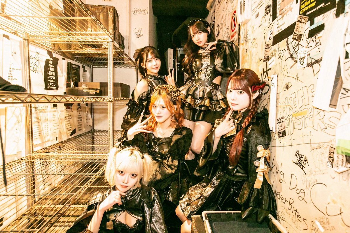 #ﾆｷﾌﾟﾚ tweet media