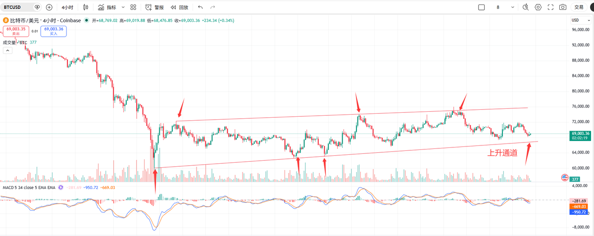 顺势而为老平 tweet media