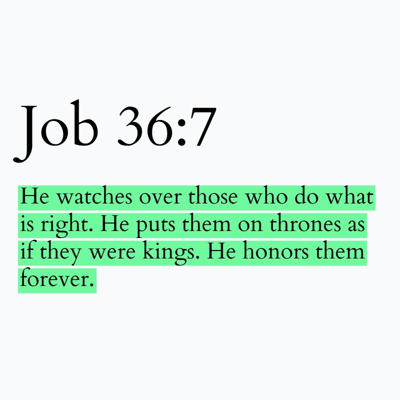 Holy Bible tweet media