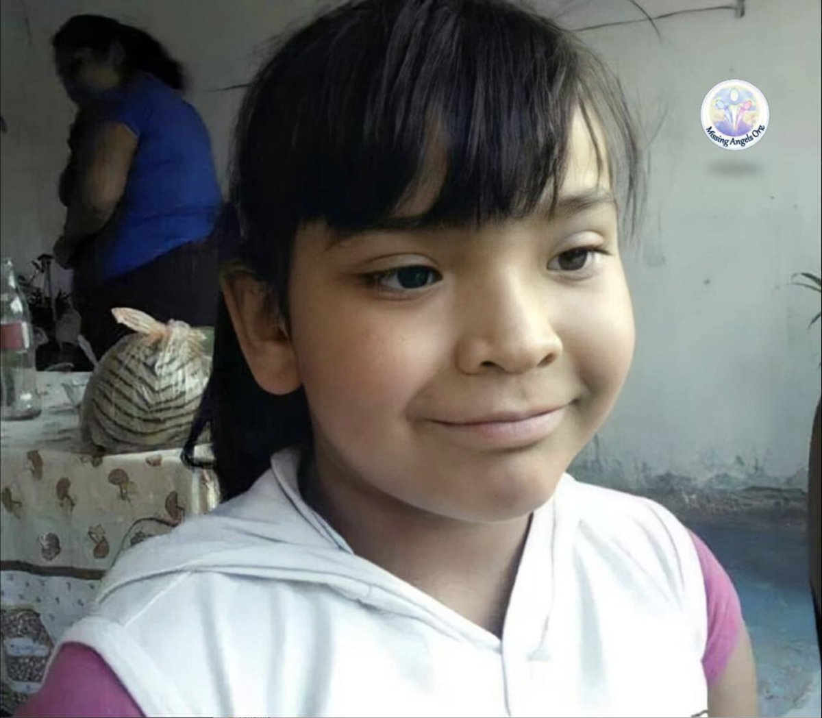 Reporte Mx Noticias tweet media