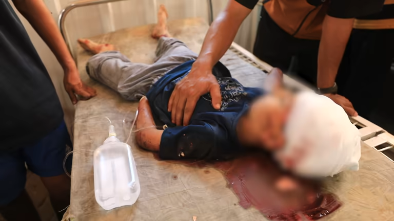 Dandyman 🍉 tweet media