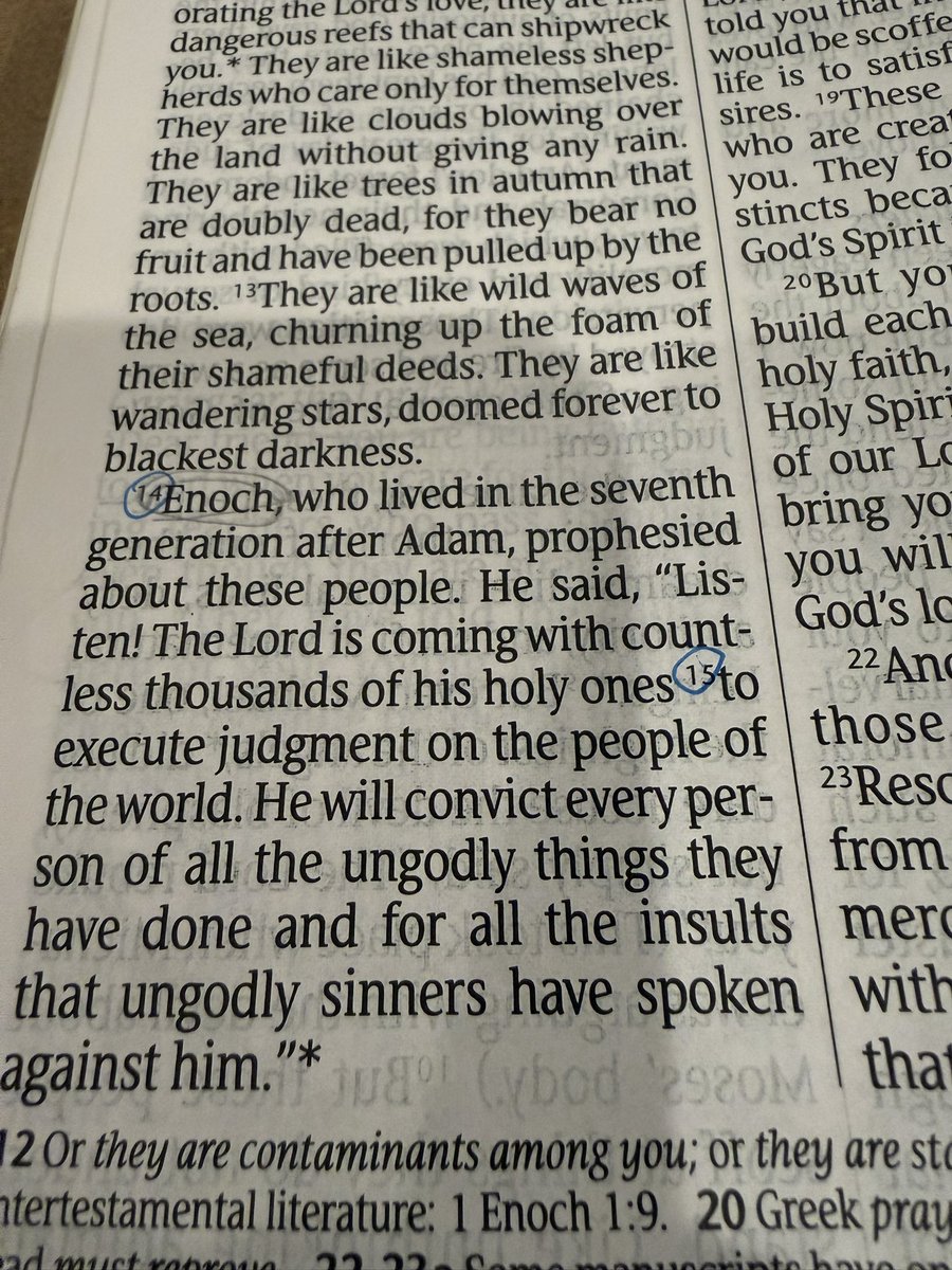 Chaos Coordinator tweet media