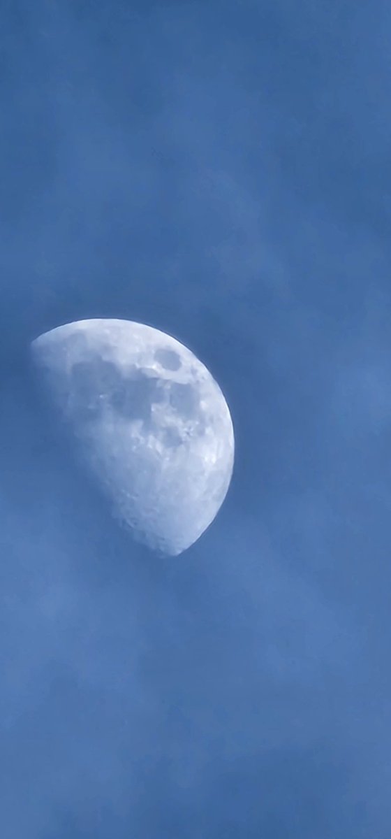 big ric UNKLBDNWZ 🐧🐧🐧🐸🐸🐸 tweet media