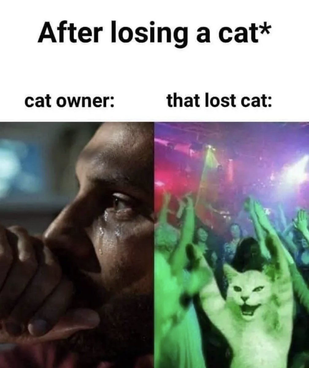 ShitpostGateway tweet media