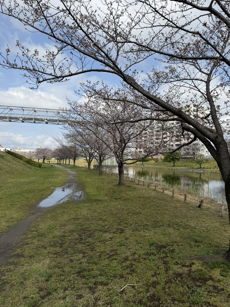 David Abbott tweet media