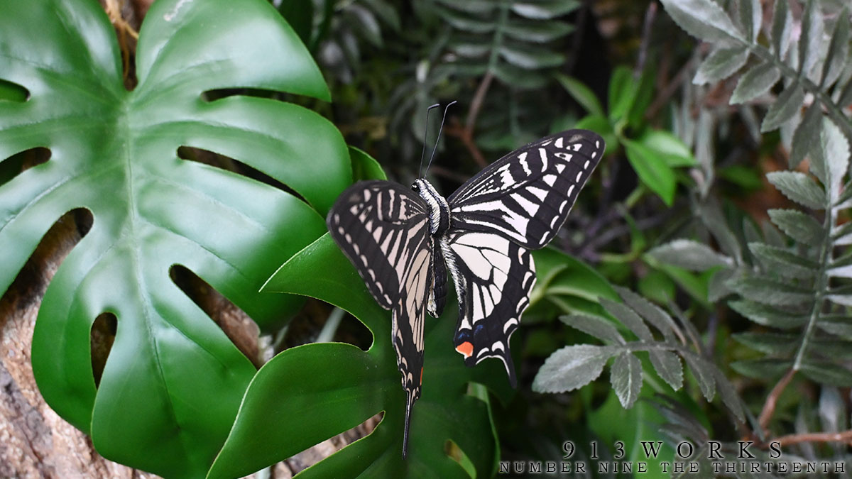 913WORKS tweet media