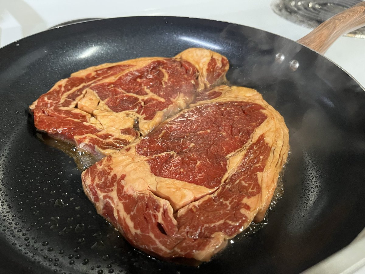 ๐ผ๐๐๐๐๐๐ต๐๐๐ tweet media