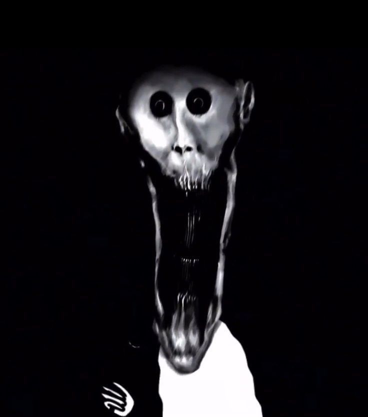 𝐒𝐚𝐤𝐮𝐫𝐚 み | 𝗘𝗡𝗛𝗬𝗣𝗘𝗡 𝗜𝗦 𝗦𝗘𝗩𝗘𝗡 ♡ tweet media