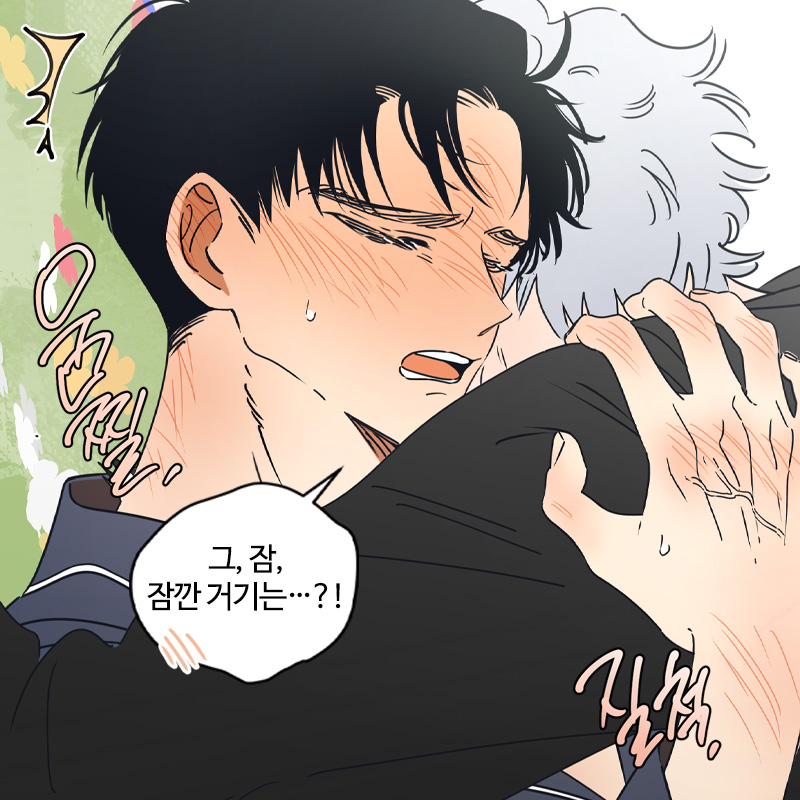 미스터블루 tweet media