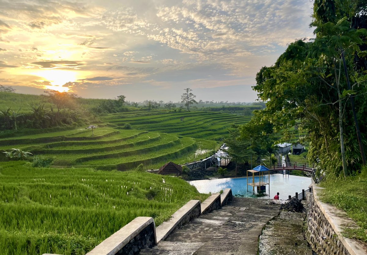 Dandhy Laksono tweet media