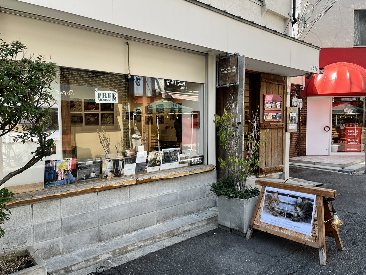 吉田裕吏洋 tweet media