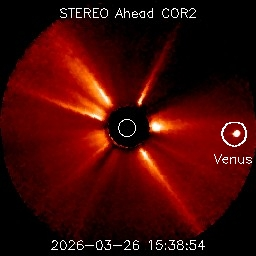 Stream Martial tweet media