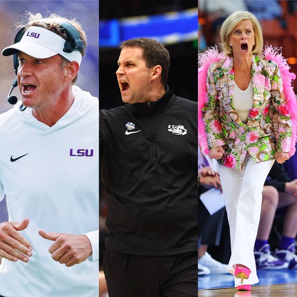 Nathan Epstein tweet media