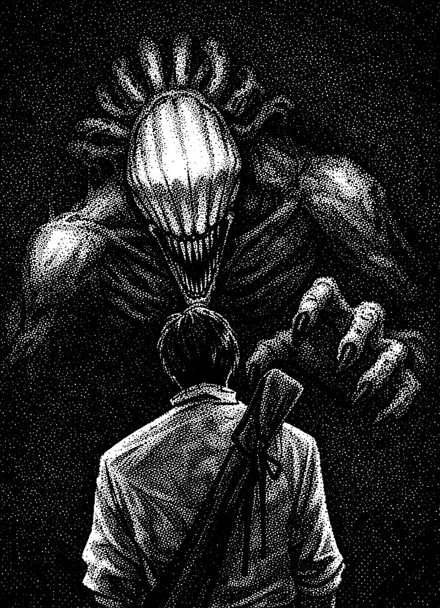 nocturnal tweet media