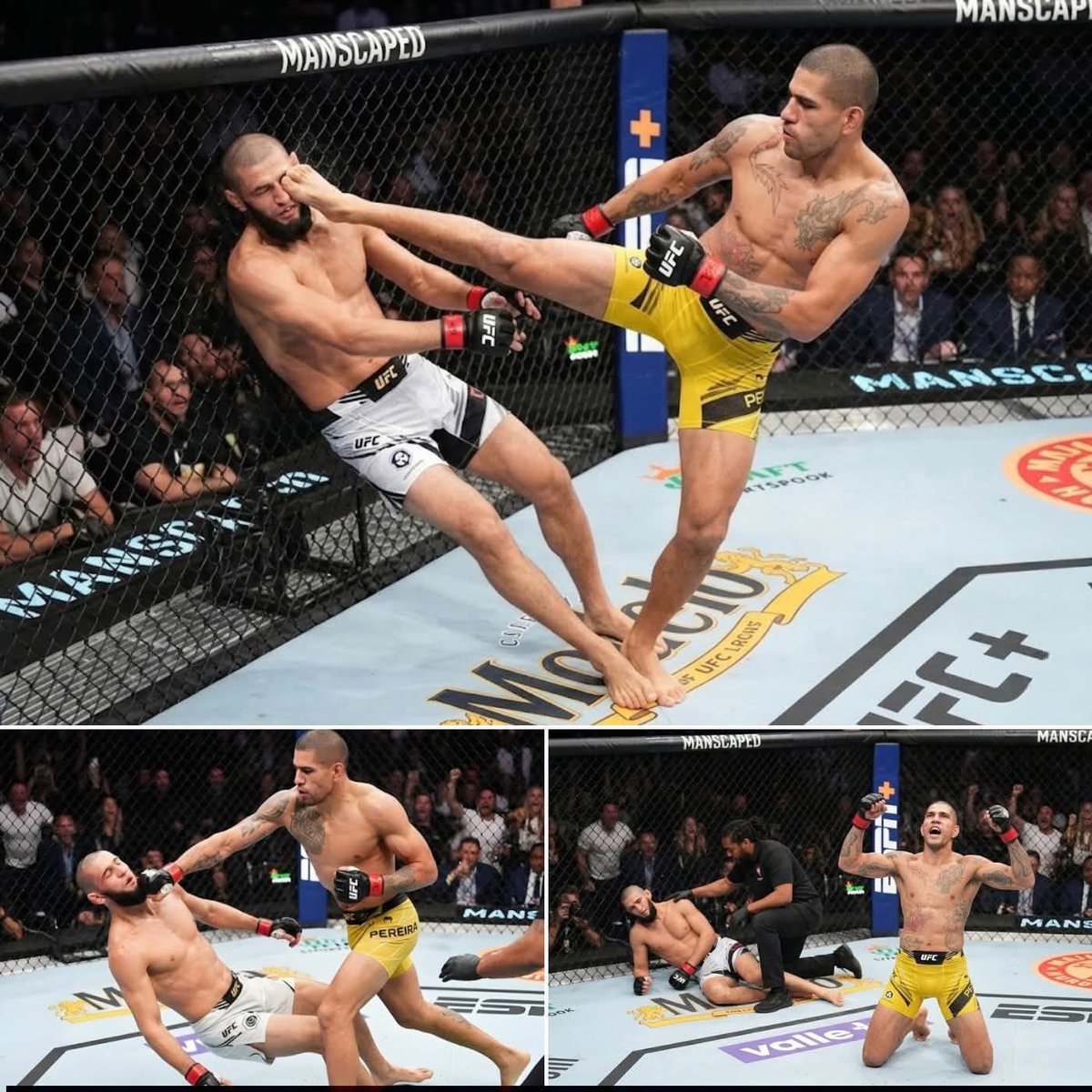 MrTestoestrogen tweet media