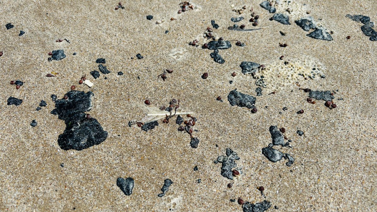 Joaquín López-Dóriga tweet media