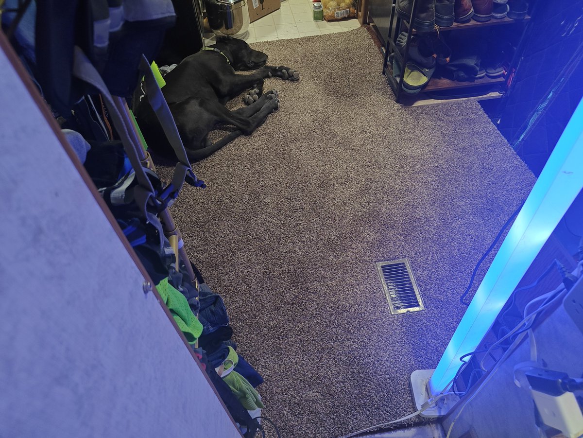 Nate Bohman tweet media