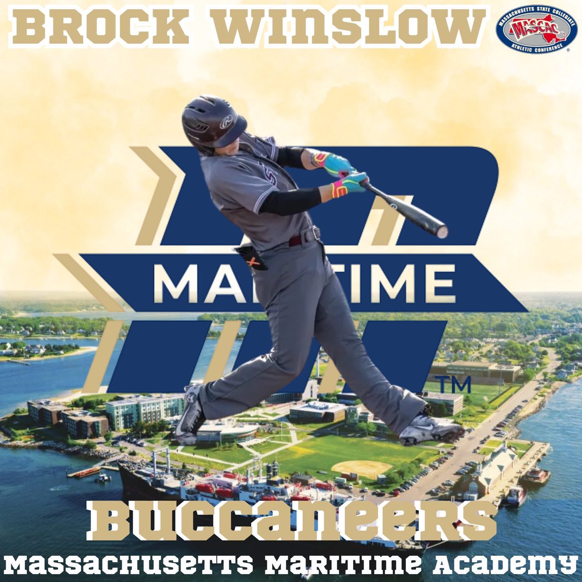 Bishop Stang Baseball tweet media