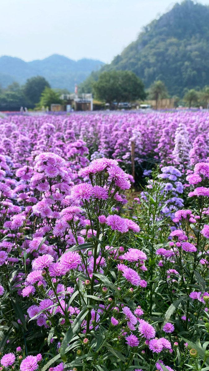 Arunaa💗 tweet media