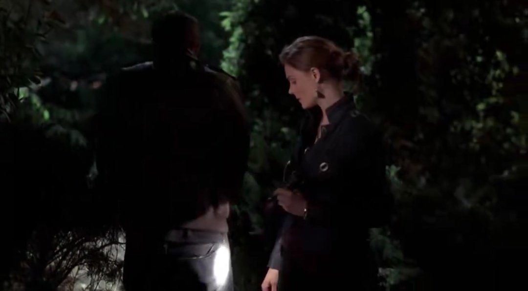 daffodil tweet media