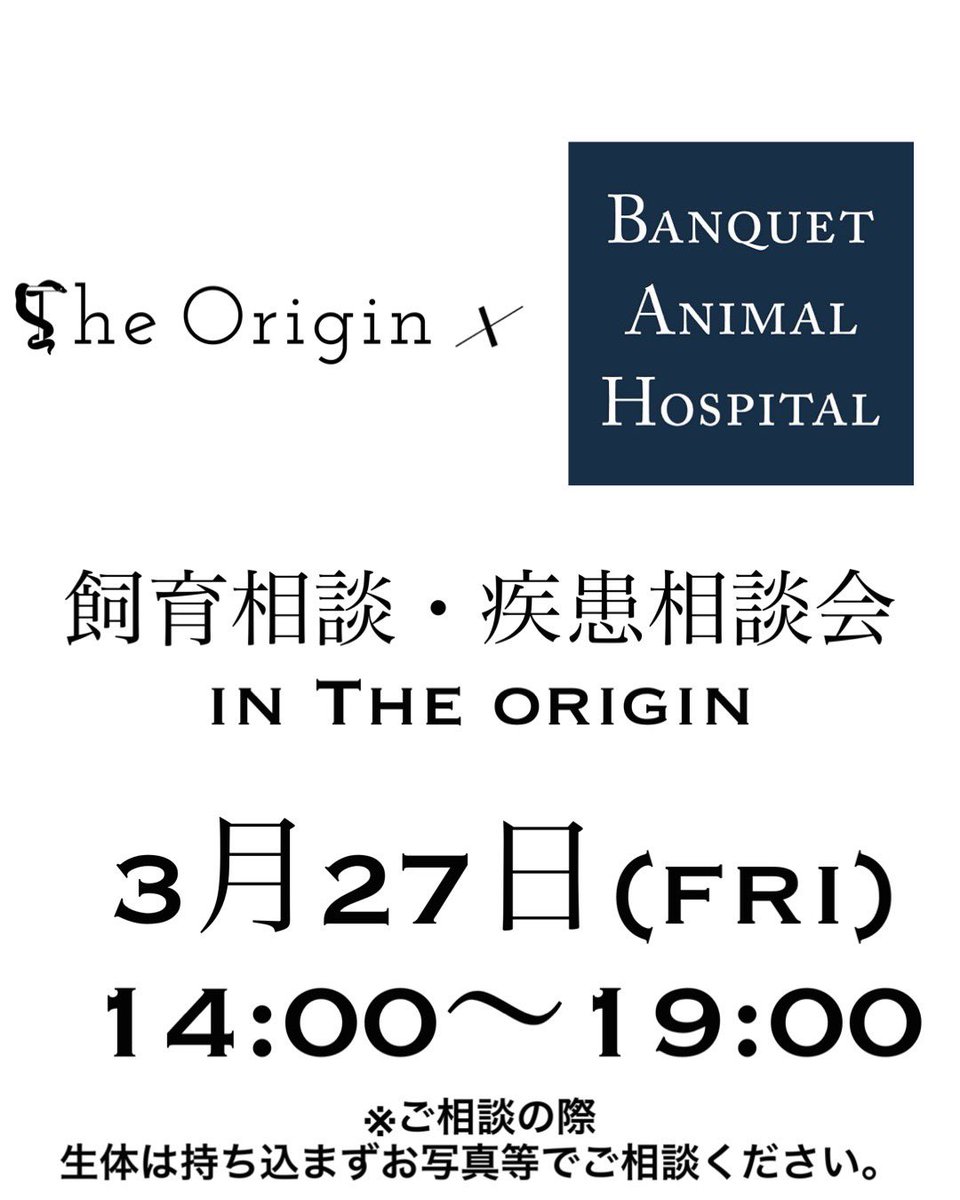 The Origin tweet media